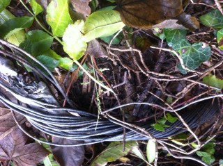 Original hydroelectric cable from 1914 | Matthew Macfadyen