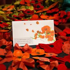 Barford sewing ladies and Barford WI hand-made poppies | Alan McDermott