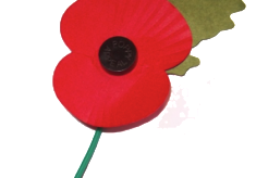 World War 1 Dead
