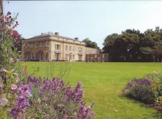 Denman